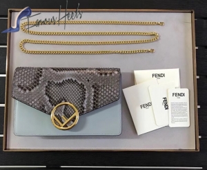 Fendi Bag 067